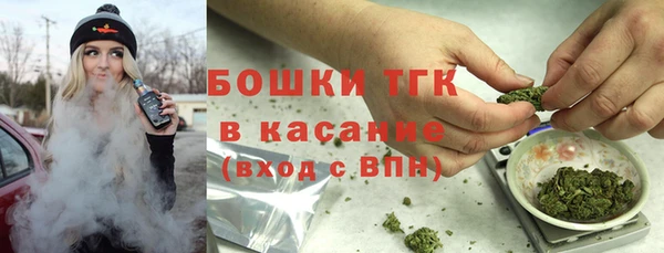 гашик Туринск